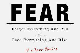 The Fear Factor as an Entrepreneur